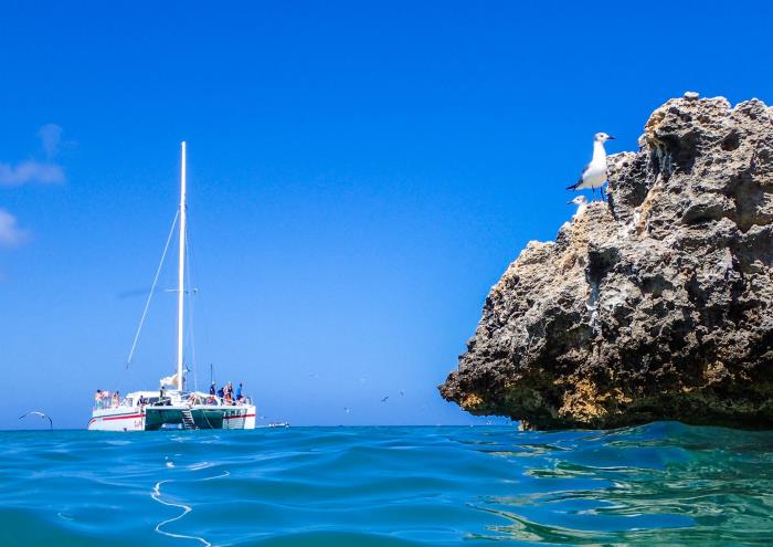 Red Sail Sports Aruba: Sailing, Snorkeling, Scuba Dive, Watersports and Land Activities