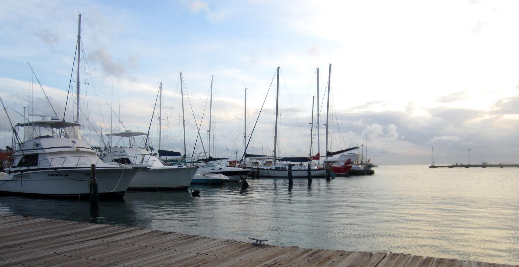 Deep Sea Fishing Charter boats in the harbour