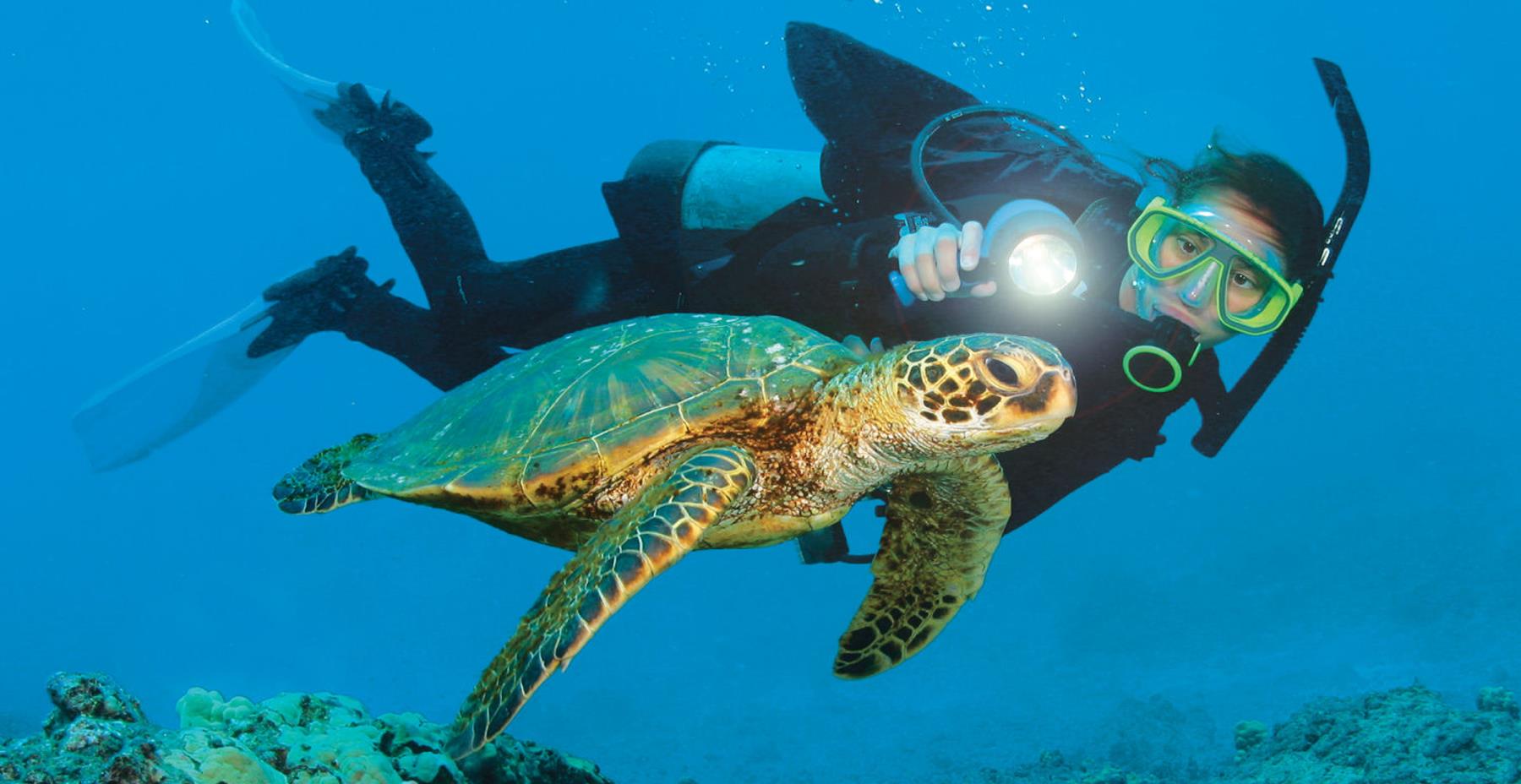 Scuba Diver swims next to a turtle