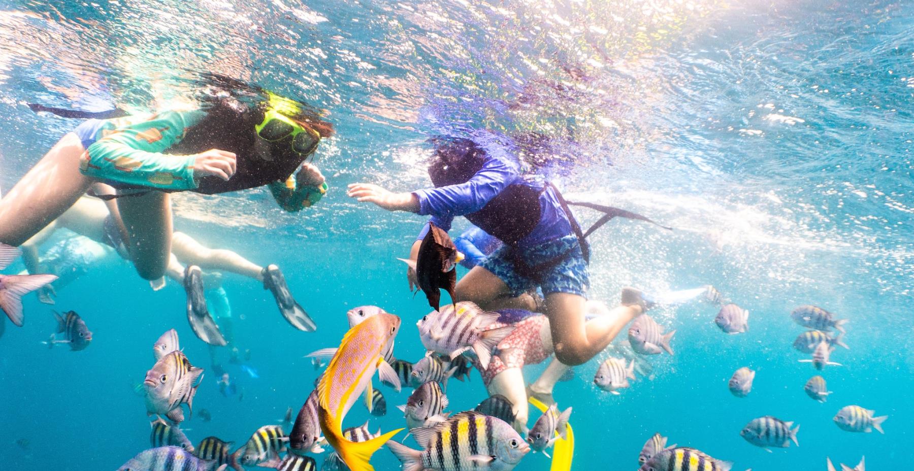 Snorkeling Tours